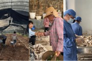 众夫盈门奇富科技百万帮扶云南中屏镇：菌菇田里的振兴密码与“村BA”的双向奔赴