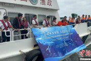 众夫盈门浙江今年计划放流种类海洋水生生物苗种超15亿单位