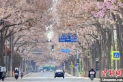 众夫盈门共建“花园城市” 北京这场议政会“百花齐放”