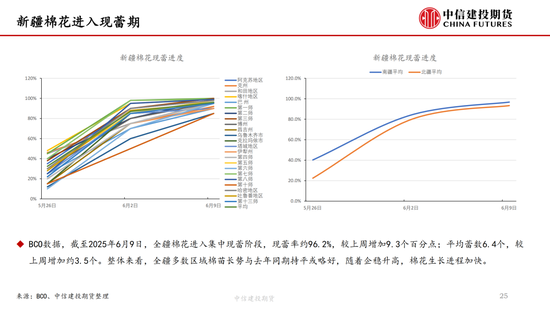 【棉花纺谈】供应端阶(✨)段性缩量 疆棉基差坚挺